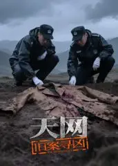 《天网：旧案寻凶》：悬疑拉满，细节控的天堂！这反转，我服了！
