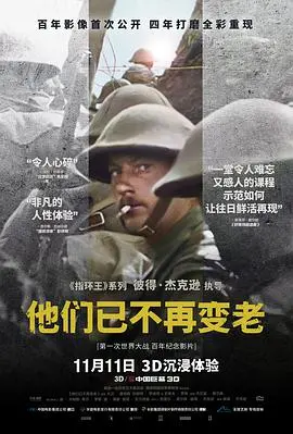 《他们已不再变老》：这不是电影，这是史诗！真实到让人心颤的二战记忆